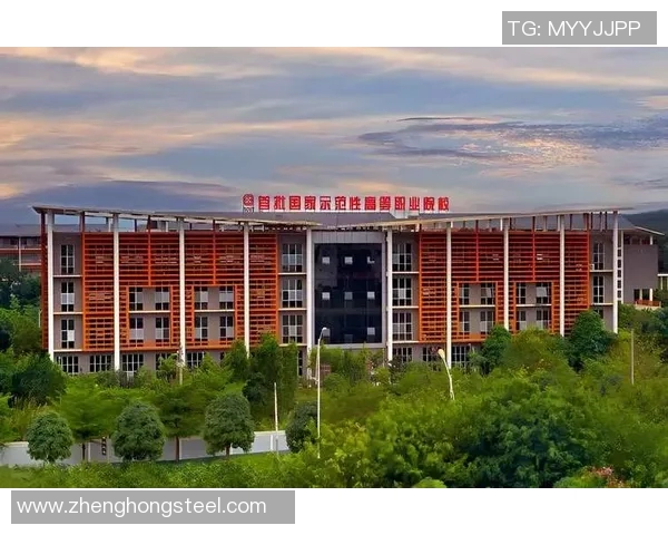 广州排球队进攻革新之路探索与实践的深度剖析与展望